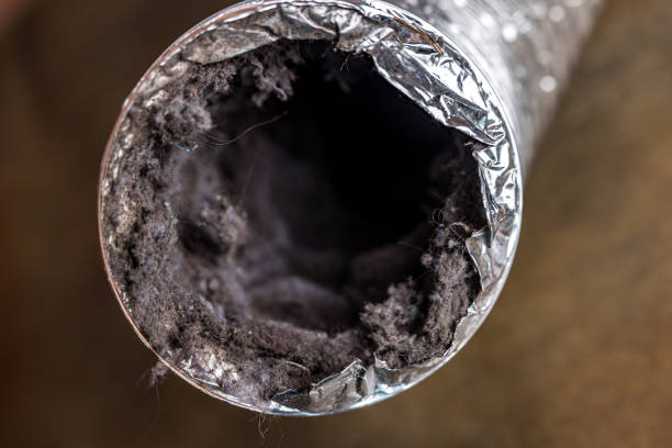 Best Air Duct Cleaning Company Near Me  in Libby, MT